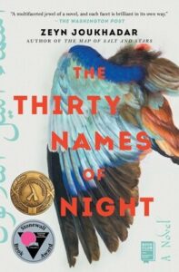Book cover for The Thirty Names of Night. The background is white with a multi-colored bird's wing and the title over the wing.