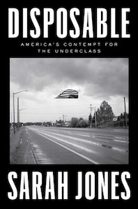 The cover of Disposable has a black and white image of an empty country road with light posts and trees on the side and wires going across. There is an American flag floating in the air upside down and partially folded over under a dark cloudy sky. The title is at the top with the authors name at the bottom. 